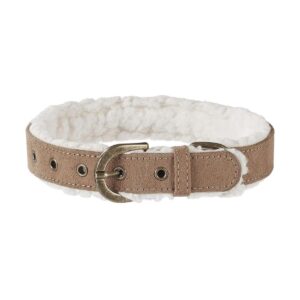 pet collar